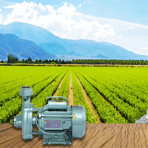 Solar Water Pumps